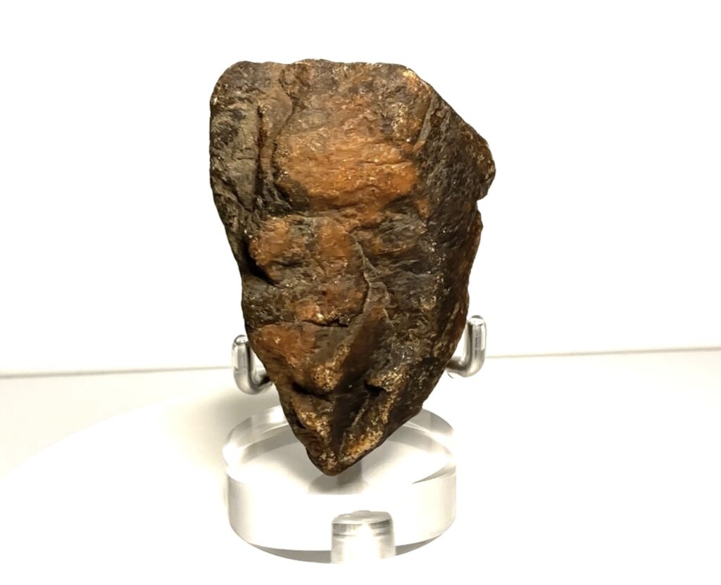 Groot