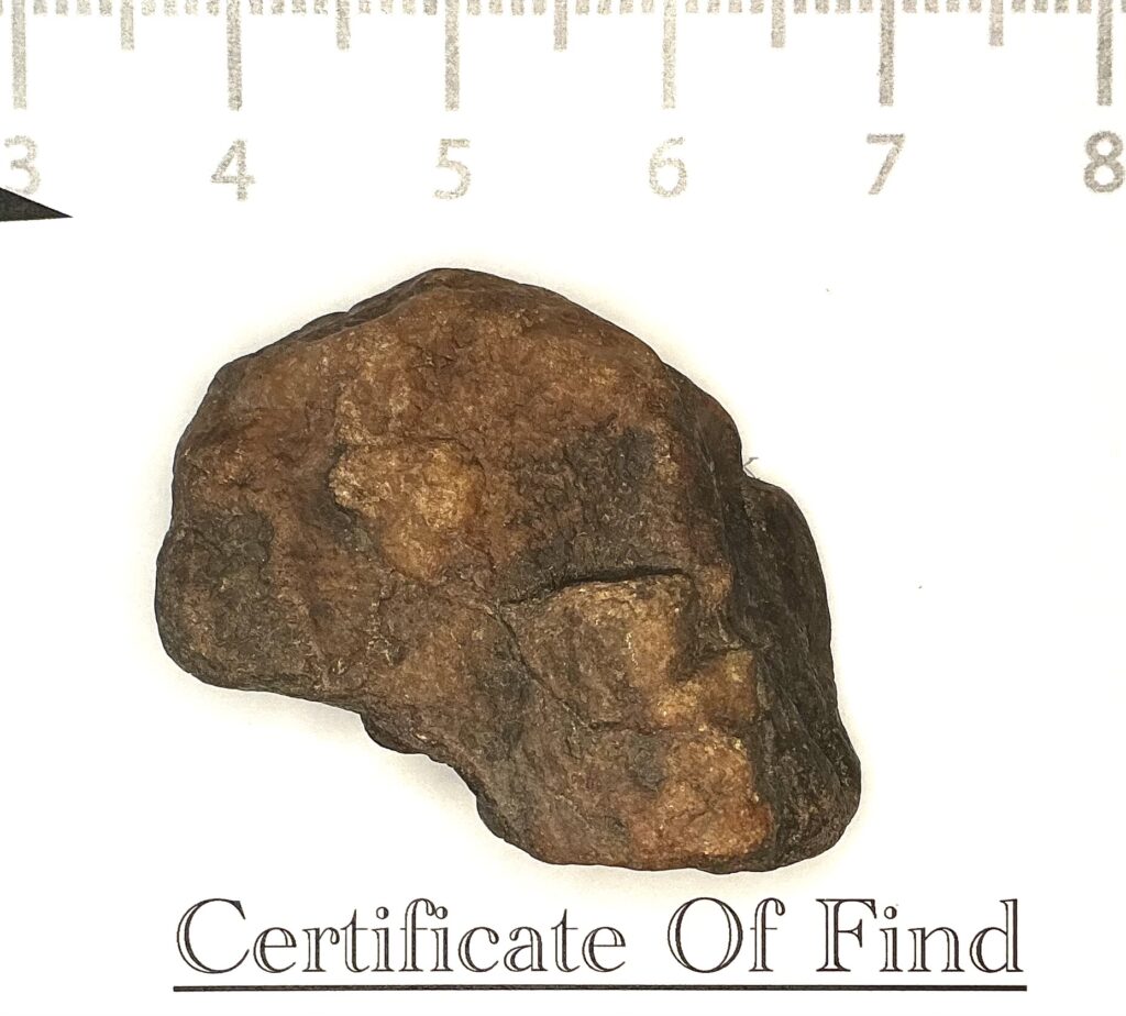 Rock Skull 1