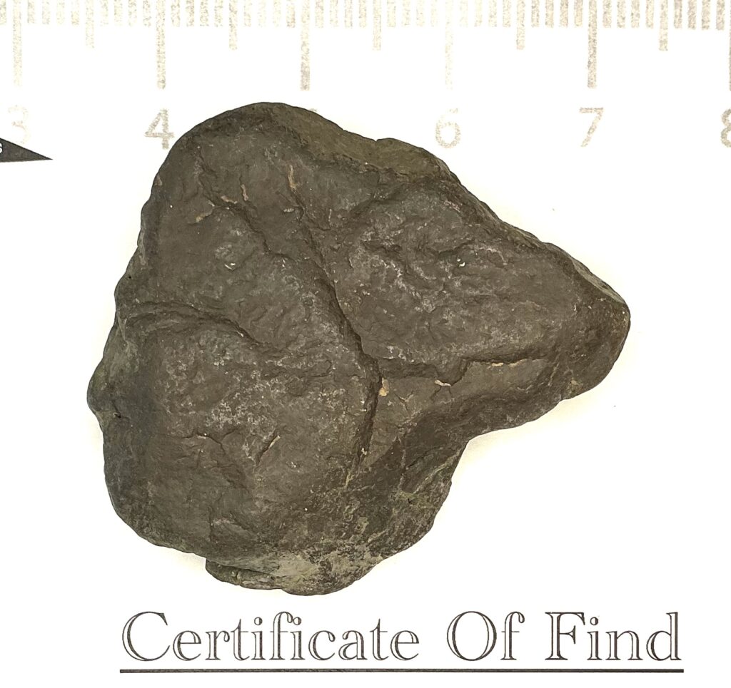 Cave Poodle With Faces