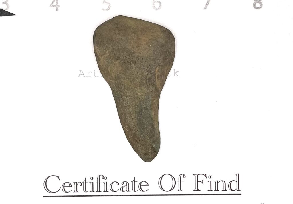 First Tooth