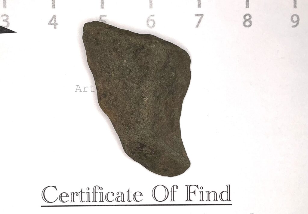 Tooth or Scraper 1