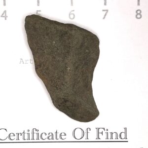 Tooth or Scraper 1