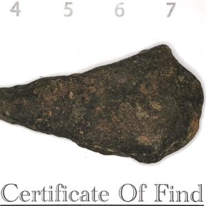 Single Shoulder Spearhead 1