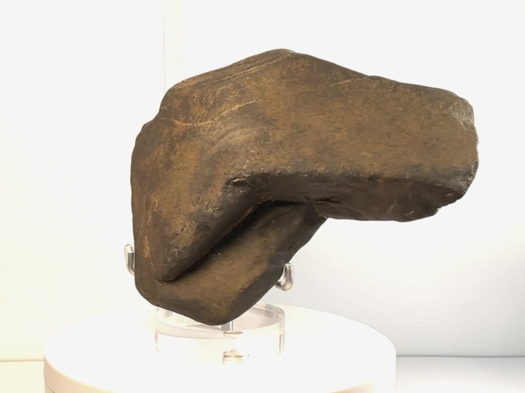 The Perfectly Designed Paleo Handled Axe Head
