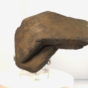 The Perfectly Designed Paleo Handled Axe Head