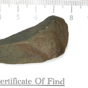 Tooth Toe Scraper