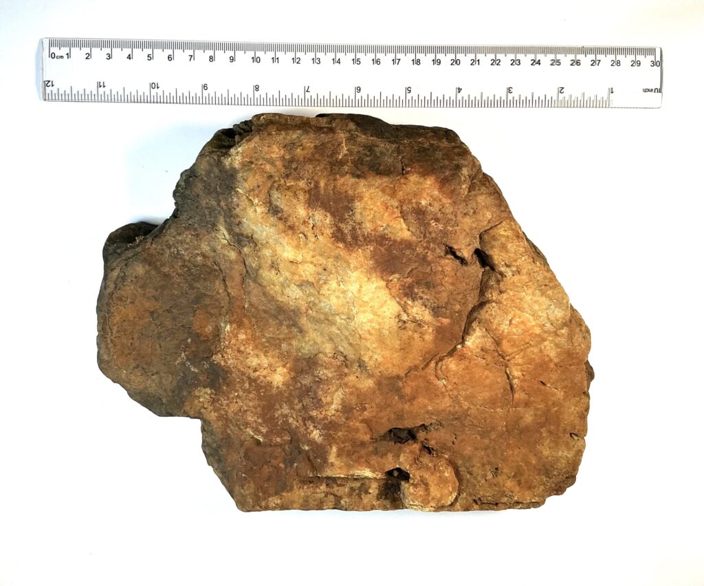 Giant Eagle Axe With Claw