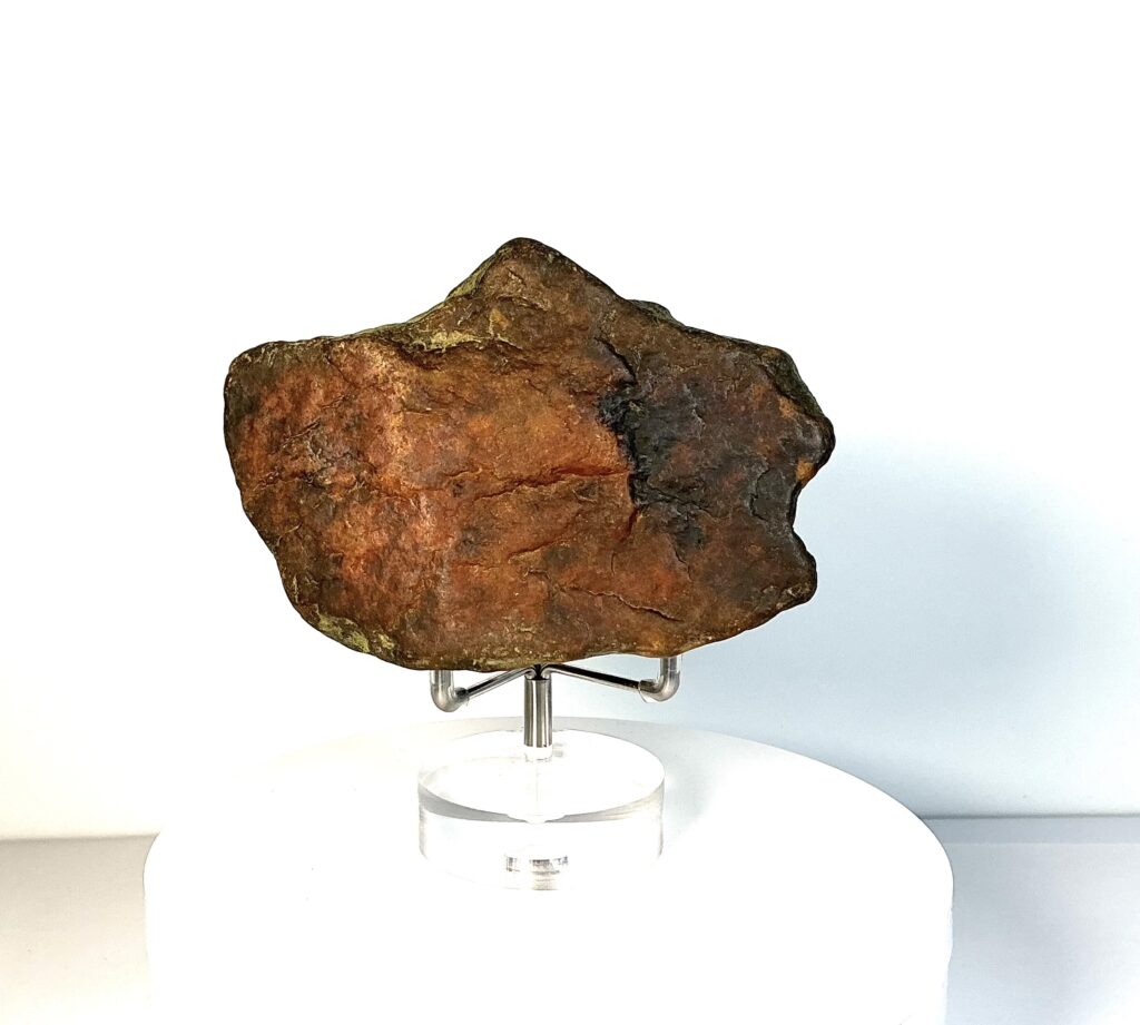 Dinosaur Buffalo Bird