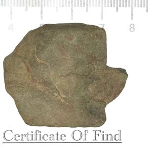 Handled Axe Head 4