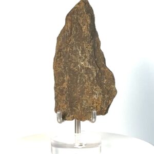 Single Shoulder Spearhead 2