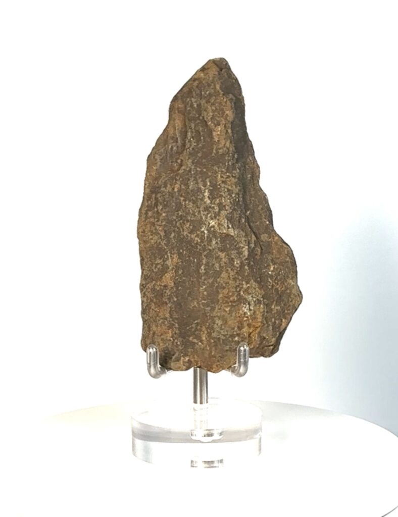 Single Shoulder Spearhead 2