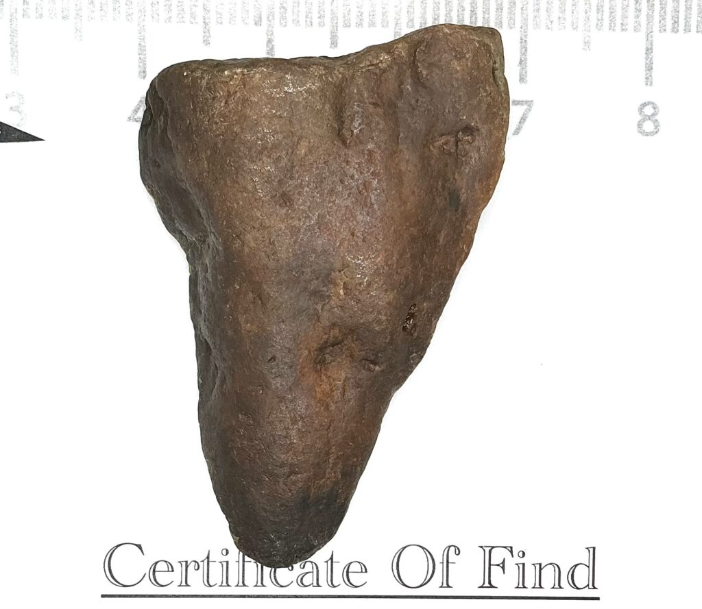 THE Tooth