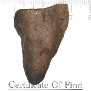THE Tooth