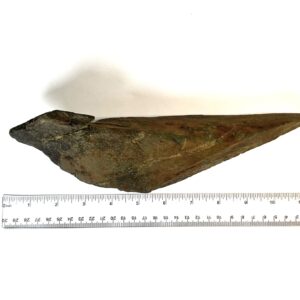 Flying Bird Spearhead
