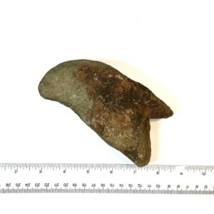 Parrot Axe Head Painted