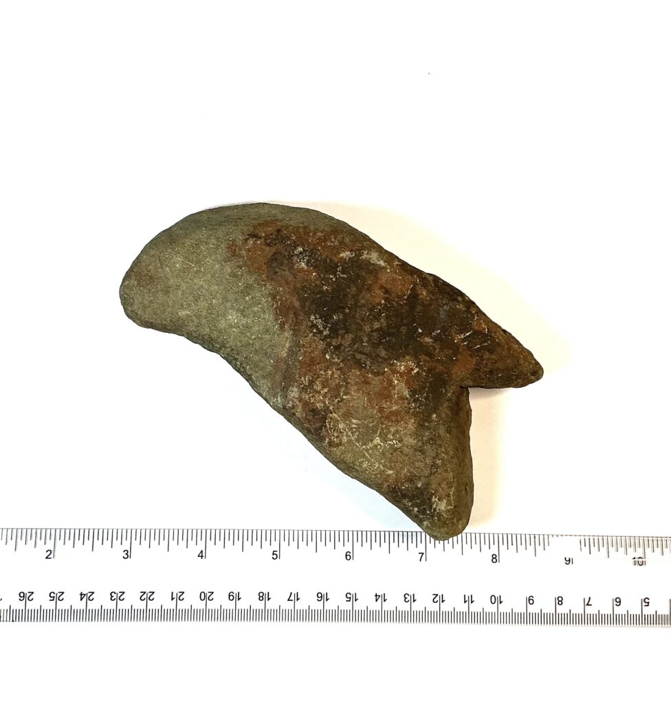 Parrot Axe Head Painted
