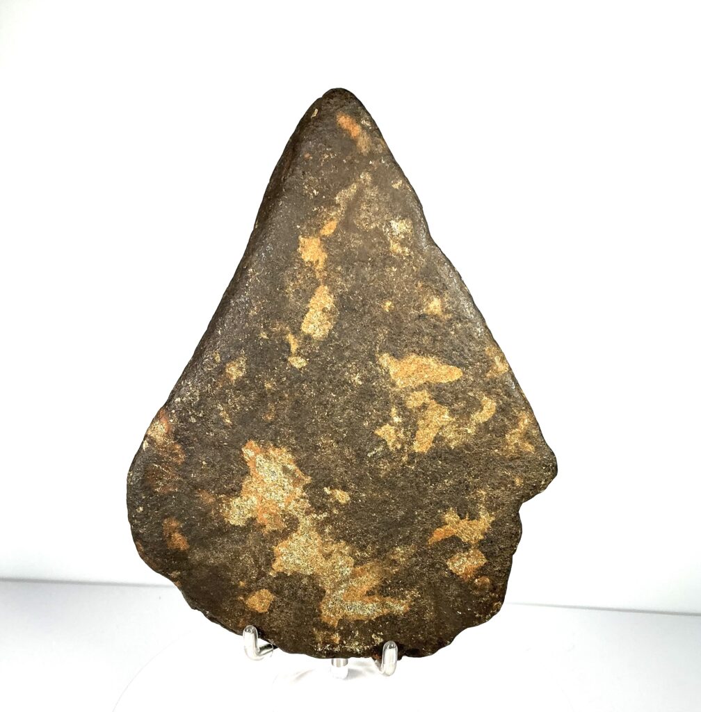 Large Single Shoulder Point #1