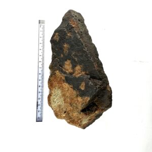 Wing Spearhead With Bear Paw Flame Lithograph