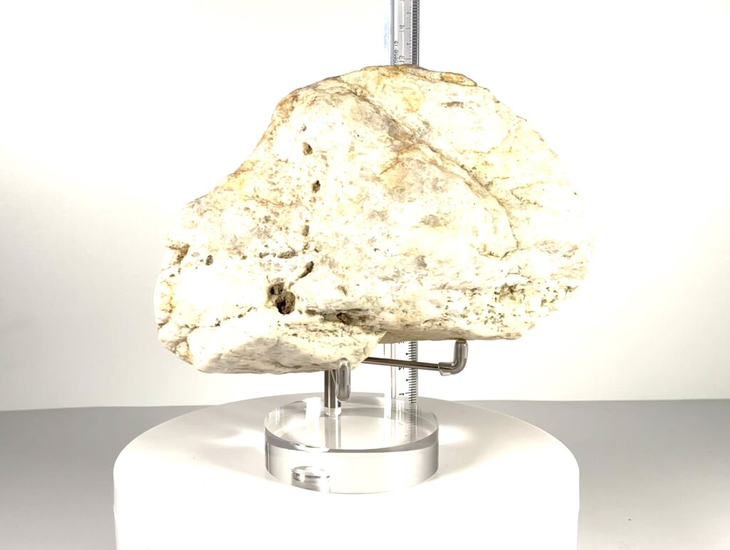 Crystal Skull