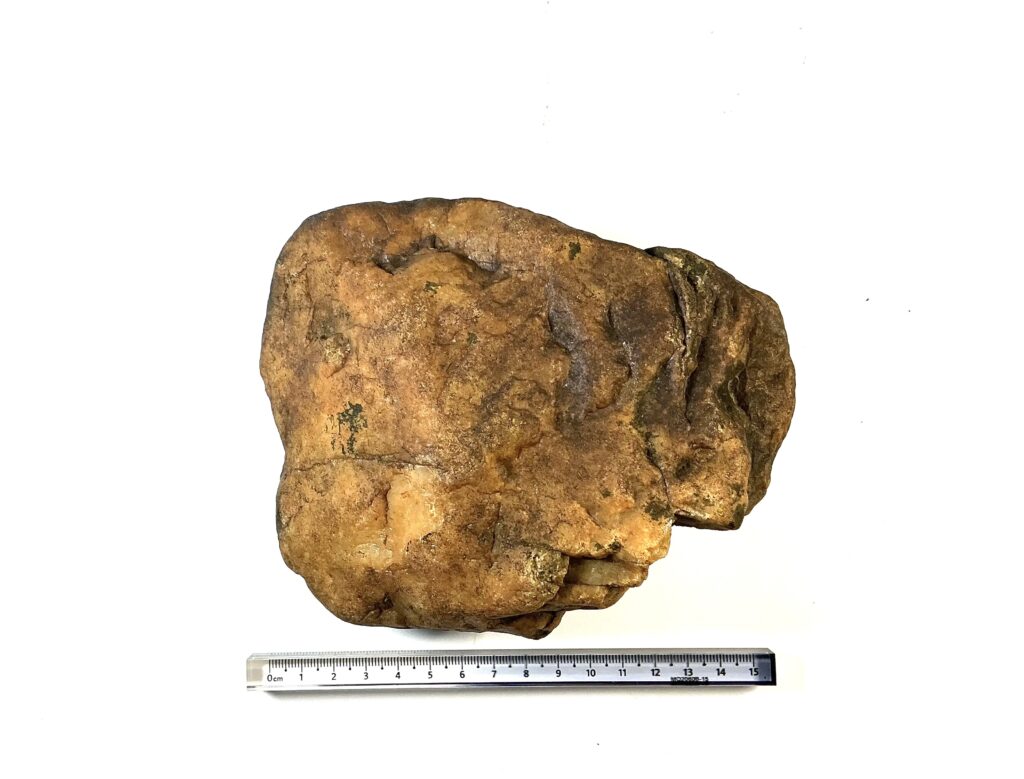 Turtle Head Hammer
