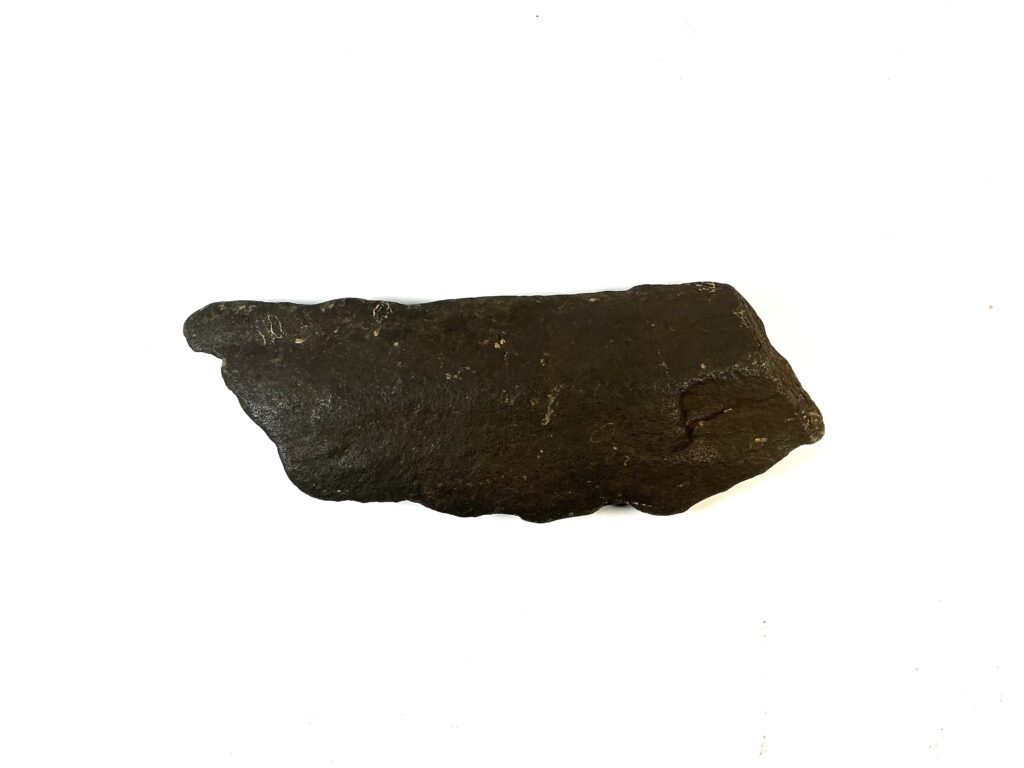 Bird Wing Spearhead
