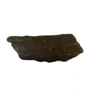Bird Wing Spearhead