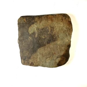 Brontosaurus Square Axe