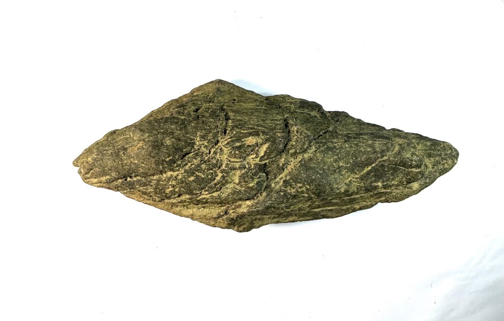3D Wing Spearhead