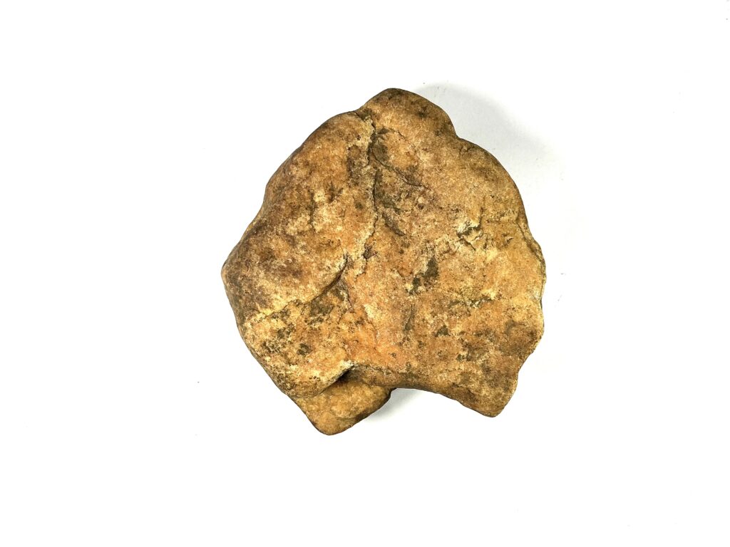 Lion Indian Axe