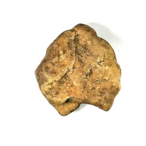 Lion Indian Axe