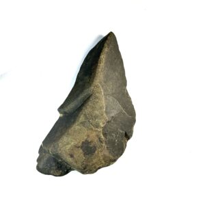 Easter Island Parrot Spearhead