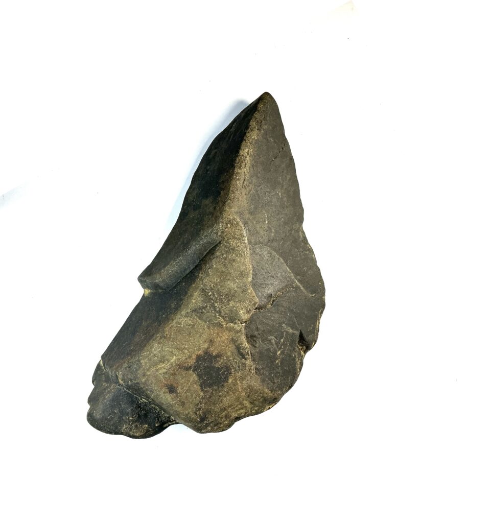 Easter Island Parrot Spearhead