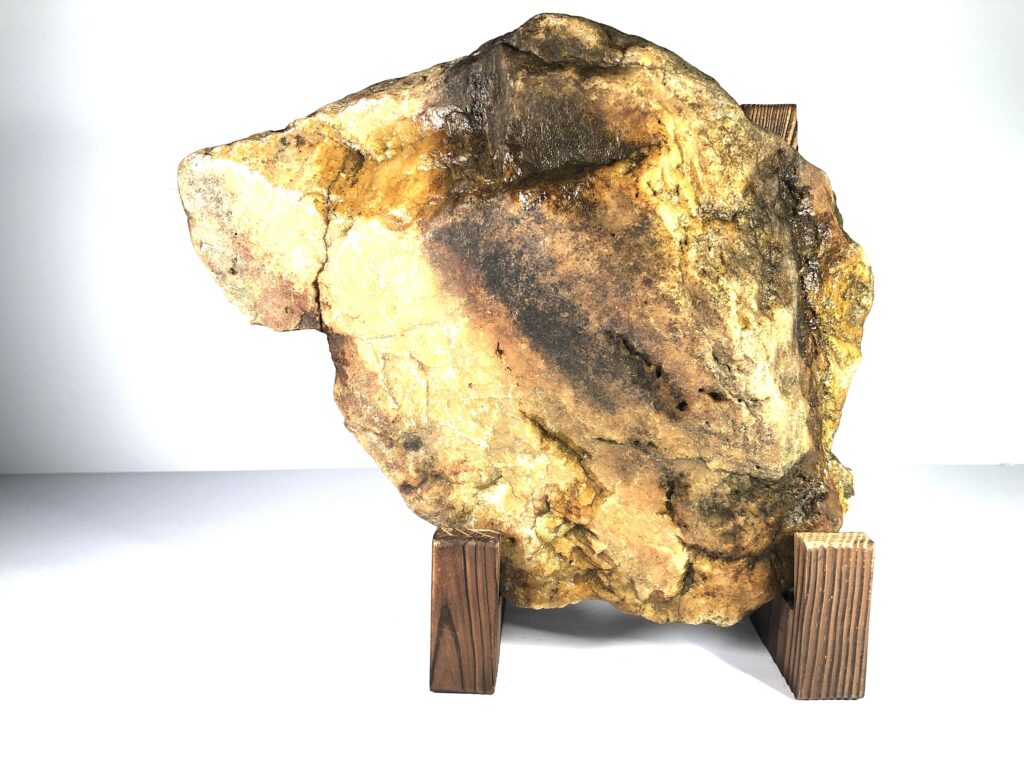 Giant American Lion Axe