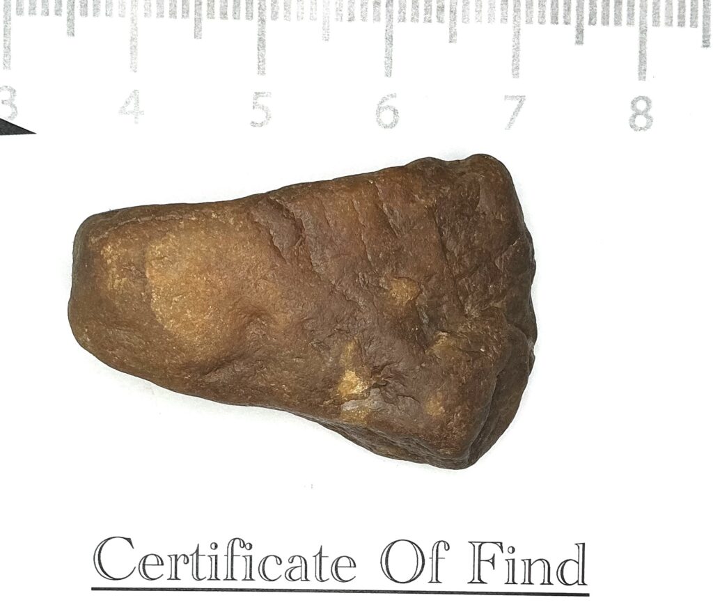 Medicine Cup