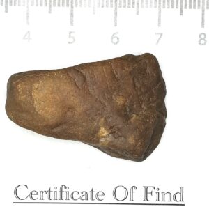 Medicine Cup