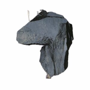 “It’s Natural”  (Giant Horse Axe)
