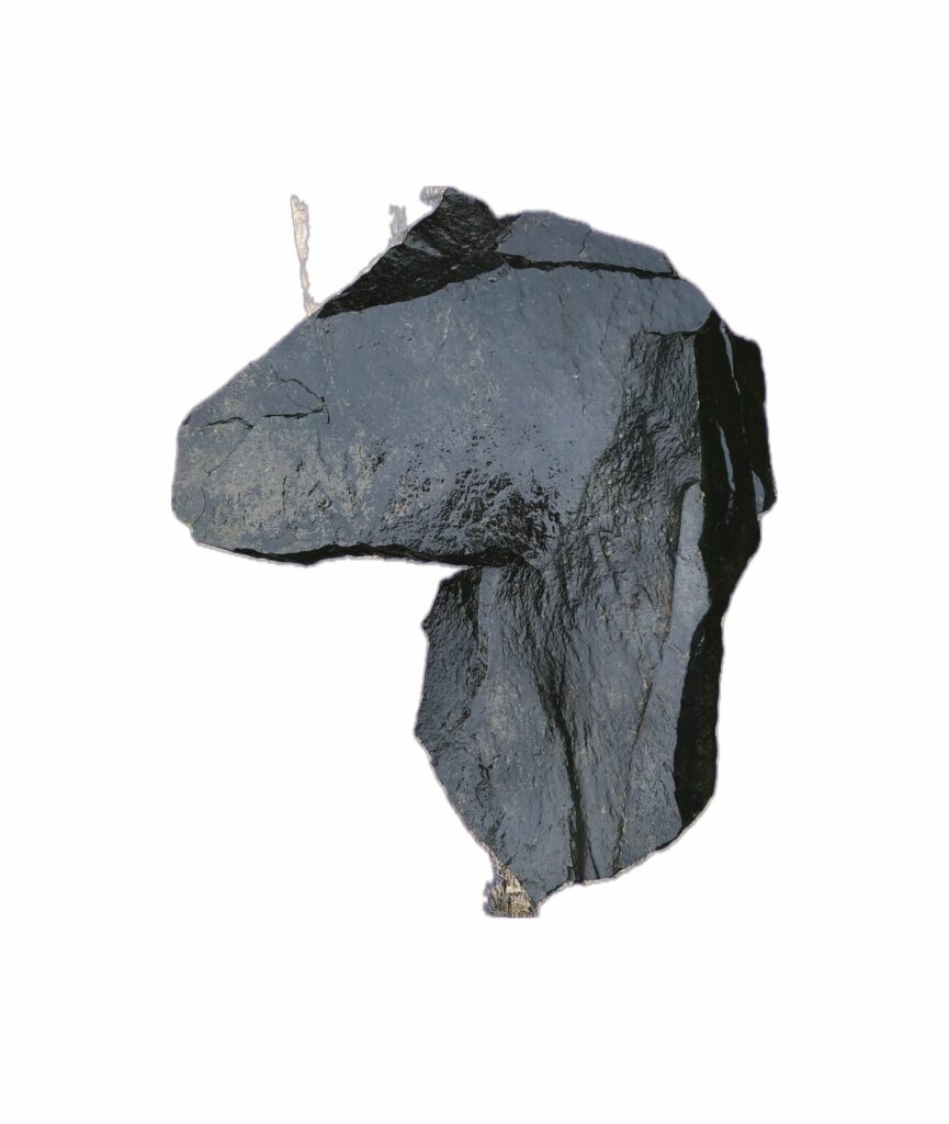 “It’s Natural”  (Giant Horse Axe)