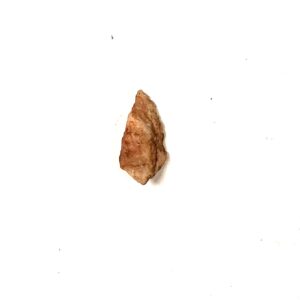 Paleo Arrowhead #1