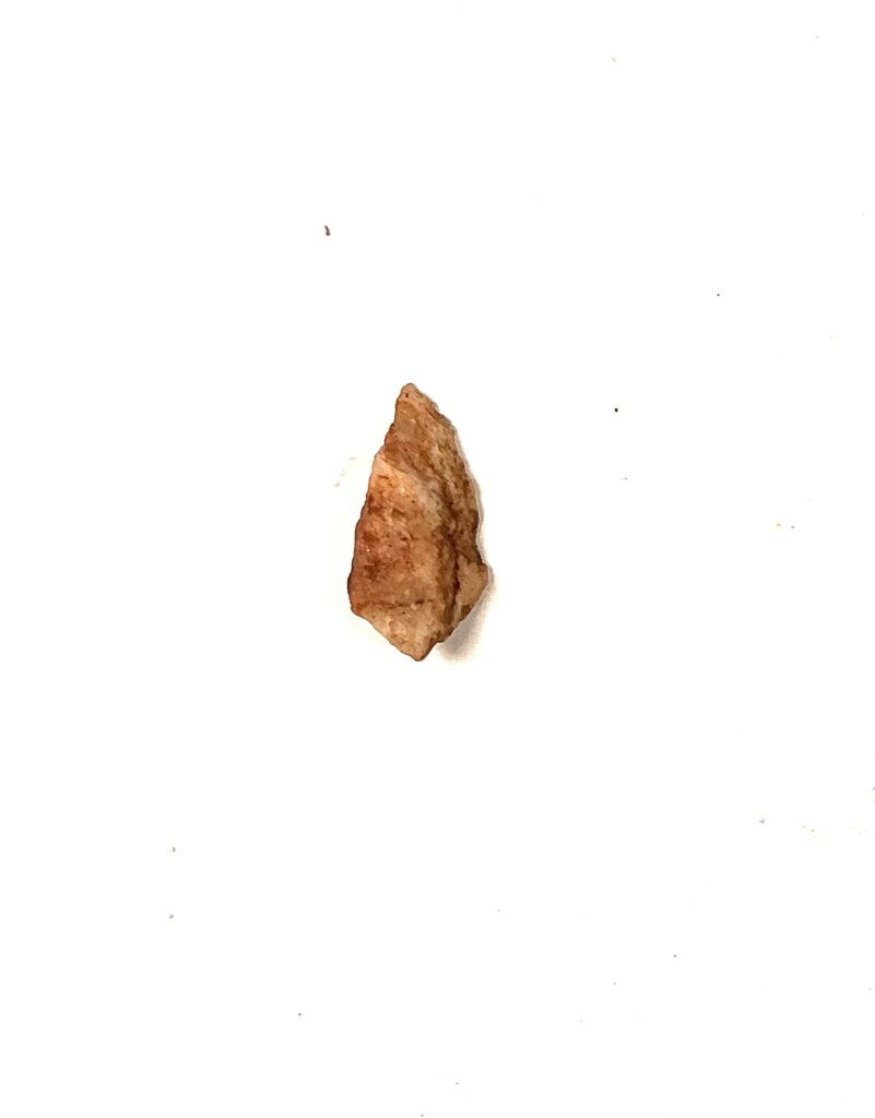 Paleo Arrowhead #1