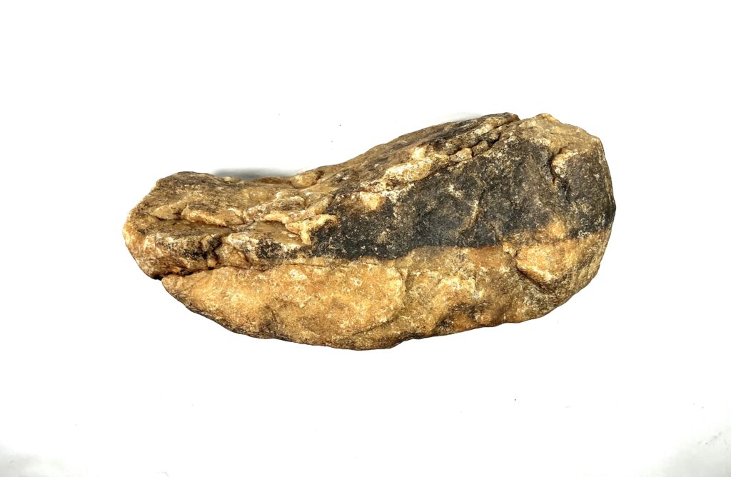 The Paleo Croc