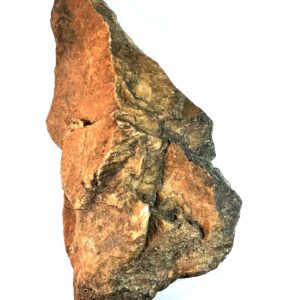 Giant Ape Face Effigy Axe, w/ Elongated Skull