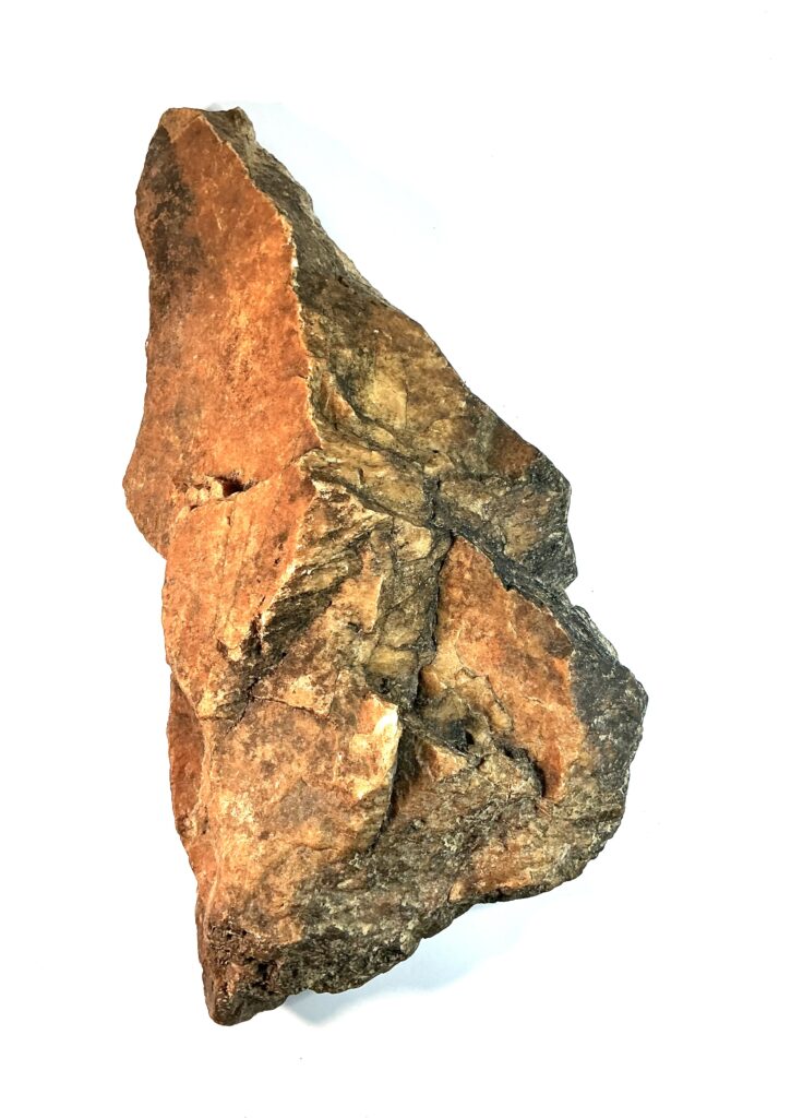 Giant Ape Face Effigy Axe, w/ Elongated Skull